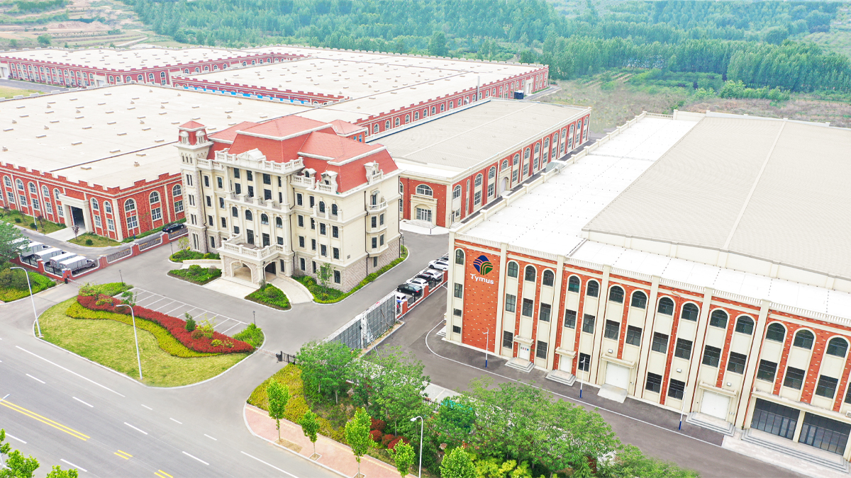 Explorarea Tymus: un nou punct de referință în producția de ștergeri umede din China
