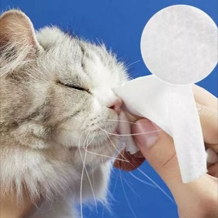 Pânză de ștergere pentru animale de companie ： Gadgeturi pentru îngrijirea igienei pentru animale de companie